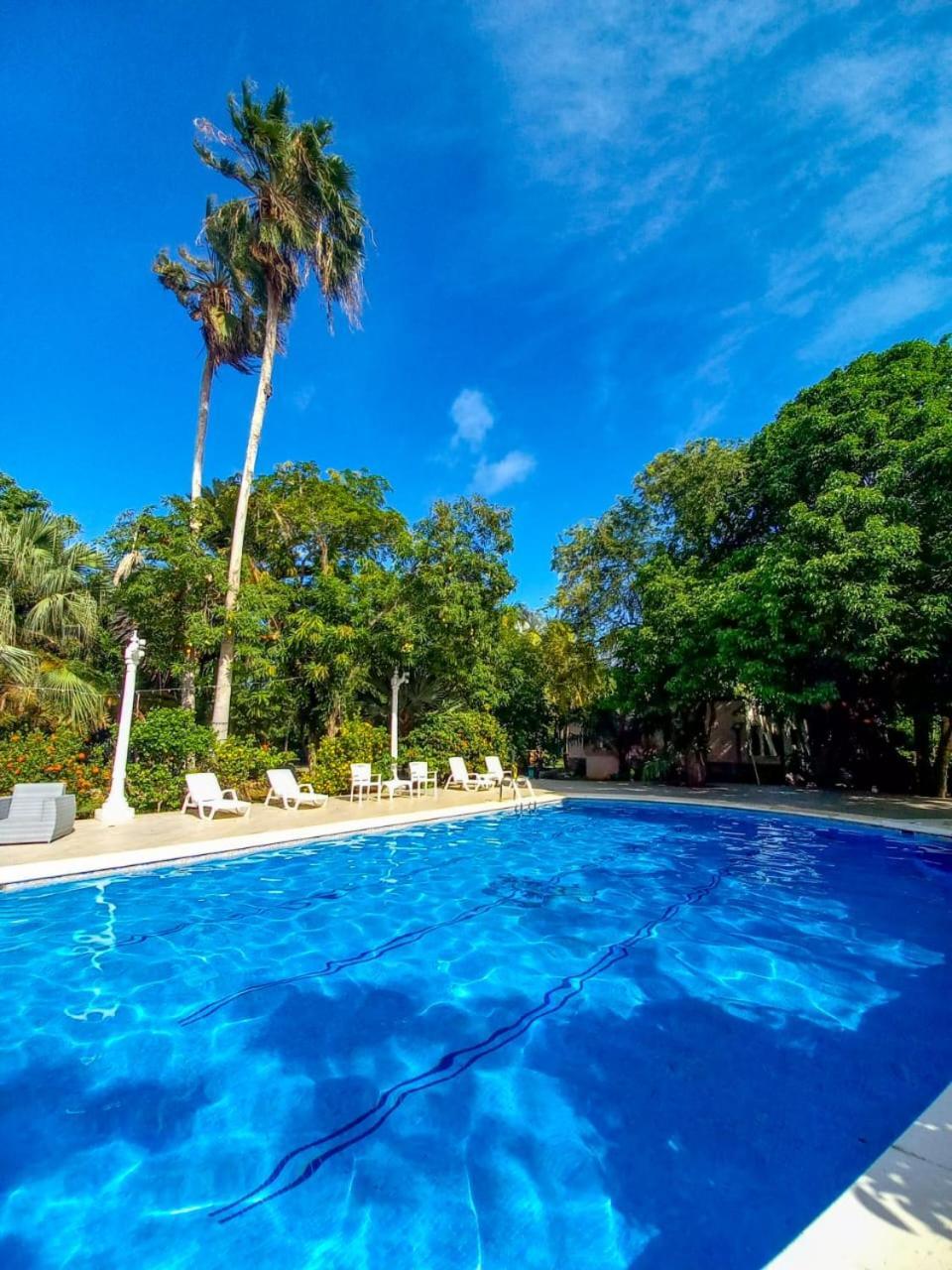 Casa Las Palmas Hotel Boutique San Andrés エクステリア 写真